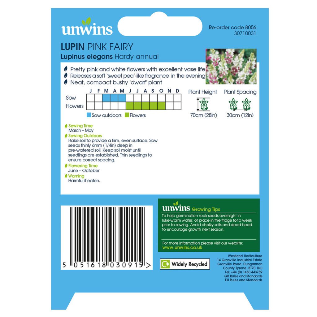 Unwins Lupin Pink Fairy Seeds 5051618030915 2